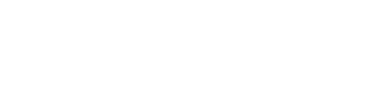 Z-DRAGONとは