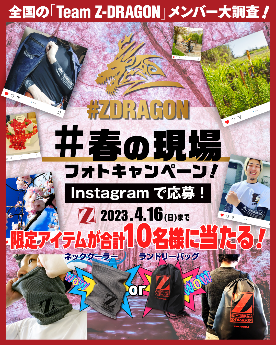 TEAM Z-DRAGON ハッシュタグ投稿キャンペーン
